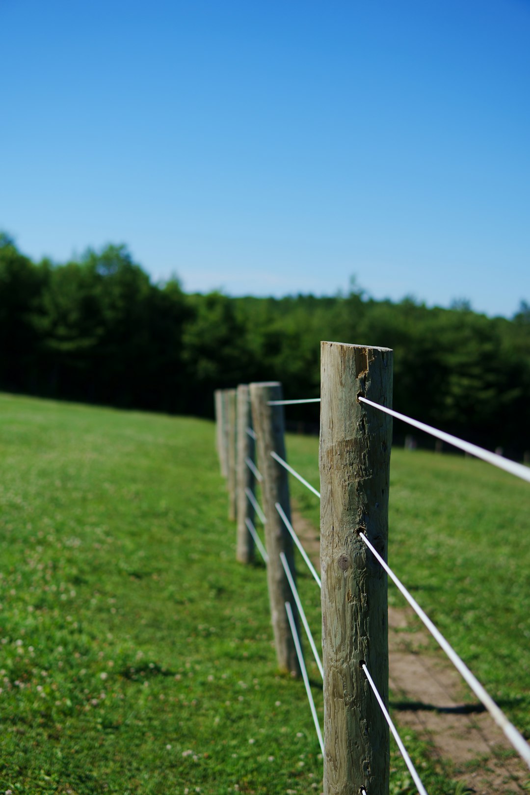 a-wooden-fence-in-a-grassy-field-with-trees-in-the-background-hfc3z8iib7u